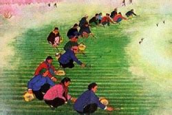 History of Chinese Farmer Painting (other name: Chinese peasant ...