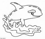 Cute Killer Whale Coloring Page sketch template