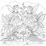 Premium Photo  Beauty In Fairyland Coloring Page sketch template