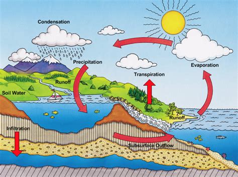 Water Cycle - Class 6, Water