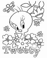 Canary Coloring Pages  Best For Kids sketch template