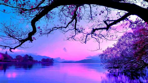 Blue and Purple Sunset HD wallpaper | Sunset wallpaper, Purple sunset, Purple wallpaper