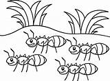 Ant Coloring Pages For Kids At GetDrawings  Free Download sketch template