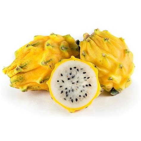 Selenicereus megalanthus, yellow dragon fruit - General Fruit Growing - Growing Fruit