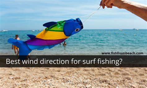 What is the Best Wind Direction for Surf Fishing? – Fish From Beach