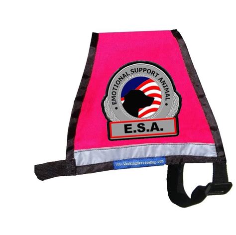 Premium Small Reflective Emotional Support Dog Vest | workingservicedog.com