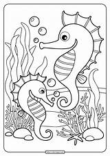 Adult Coloring Pages Free Seahorse sketch template