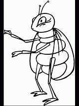 Free Printable Bug Coloring Pages For Kids sketch template