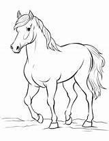 50 Horse Coloring Pages Printable Cute Sheets sketch template