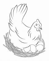 Chicken Coloring Pages To Print For Kids And Adults  101 sketch template