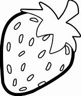 Nice Strawberry Bold Outline Coloring Page  Easy coloring pages Fruit sketch template