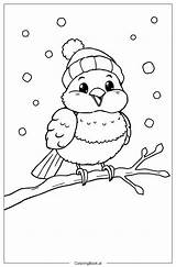 89 Dibujos De pájaro Para Colorear PDF Y PNG Gratis sketch template