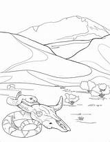 Death Valley National Park Coloring Page  Free Printable sketch template