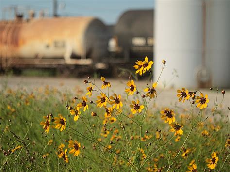 Railroad: Flowers | Rail station in downtown Jeff City. Old … | Flickr