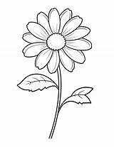 Flower Coloring Pages Images A Blooming World Of Creativity sketch template