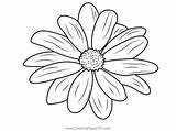 Daisy Flower Coloring Page sketch template