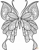 Zentangle Butterfly  Super Coloring Pictures To Color sketch template