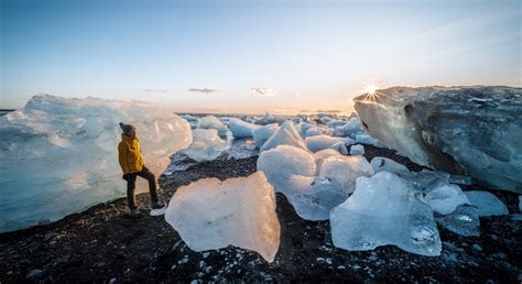 The best places to watch wildlife in Iceland – Lonely Planet - Lonely Planet