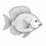 Black And White coloring Picture Of A damselfish  Premium AI Generated sketch template