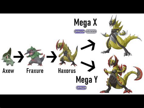 Pokemon Haxorus Mega Evolution | edu.svet.gob.gt