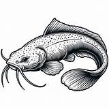 Realistic Catfish Coloring Page  4 Free Printable Pages sketch template