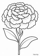 Carnation Coloring Pages Free Printable PDFs  WakeTheKids sketch template