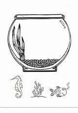 Two Fishes With Aquarium coloring Page  Download Print Or Color sketch template