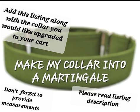 Martingale Upgrade Martingale Collar Martingale Dog Collar Training Dog ...