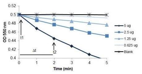 Cytochrome C Oxidase Assay Kit (ab239711) | Abcam