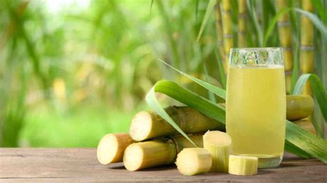 6 amazing benefits of applying sugarcane juice on skin and hair | HealthShots