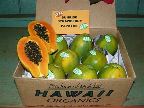 Certified Organic GMO Free Papayas