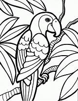 Coloring Pages Rain Forest sketch template