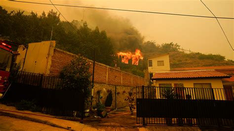 Forest fires in Chile kill at least 51, threatens urban areas | Fox News