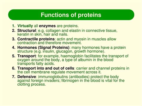 Protein Function Biology Simple at Elizabeth Figueroa blog