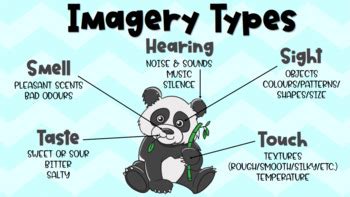 The types of imagery - lasopaafro