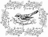 Bird Coloring Book Page A Fun And Educational Activity For Kids sketch template