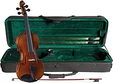 10 Best Violin Brands In 2024: Comprehensive Guide