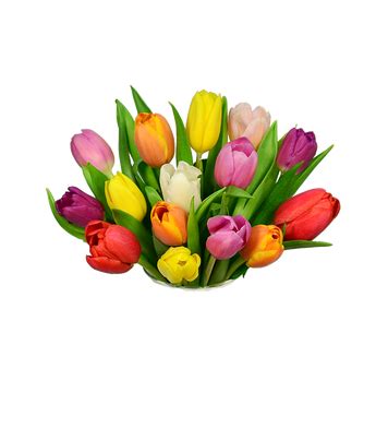 Rainbow Tulip Bouquet - 15 Stems at From You Flowers
