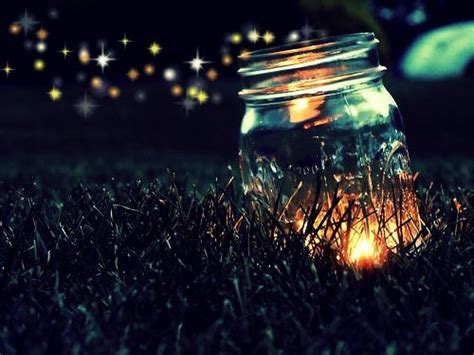 Fireflies | Spark