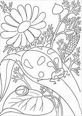 Ladybug On A Leave  Butterflies & Insects Coloring Pages For Adults sketch template