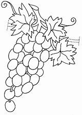 Grapes coloring Pages To Download And print For free sketch template