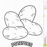 Potato Sweet Outline Drawing Potatoes Pages Coloring Colouring  sketch template