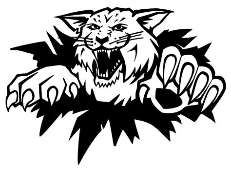 Moncton Wildcats Logo Black And White - Moncton Wildcats Clipart - Large Size Png Image - PikPng