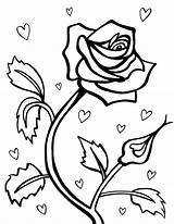 Free Printable Roses Coloring Pages For Kids sketch template