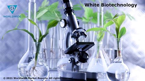 White Biotechnology Market 2022 Remarkable Growth Factors That Is Changing the Course of ...