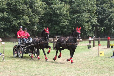 20140713-1259-41 | Horse and Carriage Driving Competition 20… | Flickr