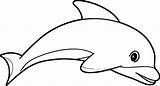 Dolphins Coloring Pages 100 Pictures Free Printable sketch template