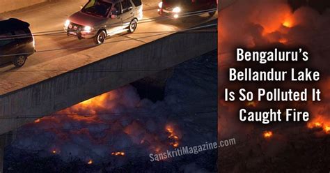 Bengaluru’s Bellandur Lake Is So Polluted It Caught Fire | Sanskriti ...