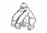 Coloring Page gorilla  Free Printables Img 9682 sketch template