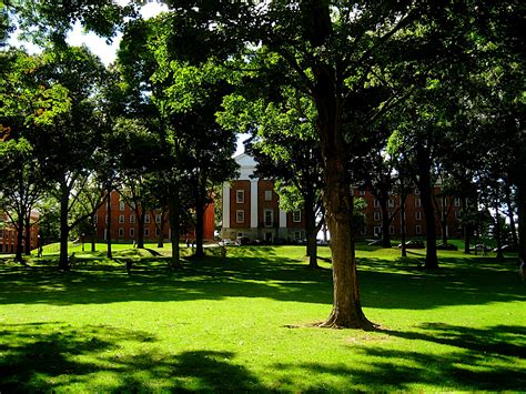 File:Amherst College Main Quad.jpg - Wikimedia Commons